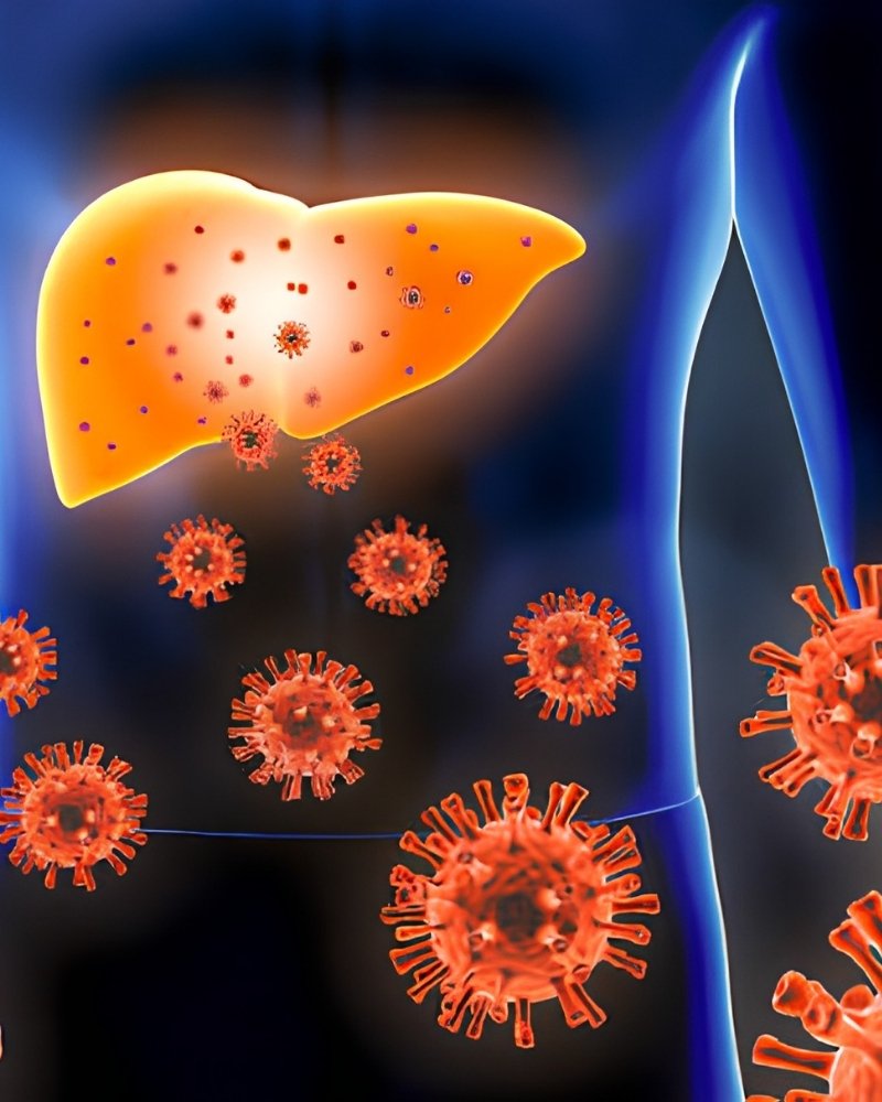 Hepatitis C Virus in Mumbai